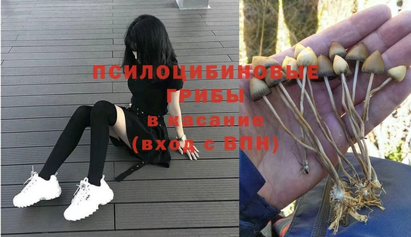 гидра Балабаново